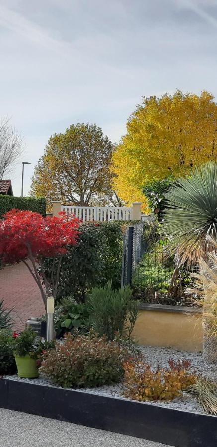 Ma maison fleurie proche aéroport, Eurexpo Janneyrias Exterior foto