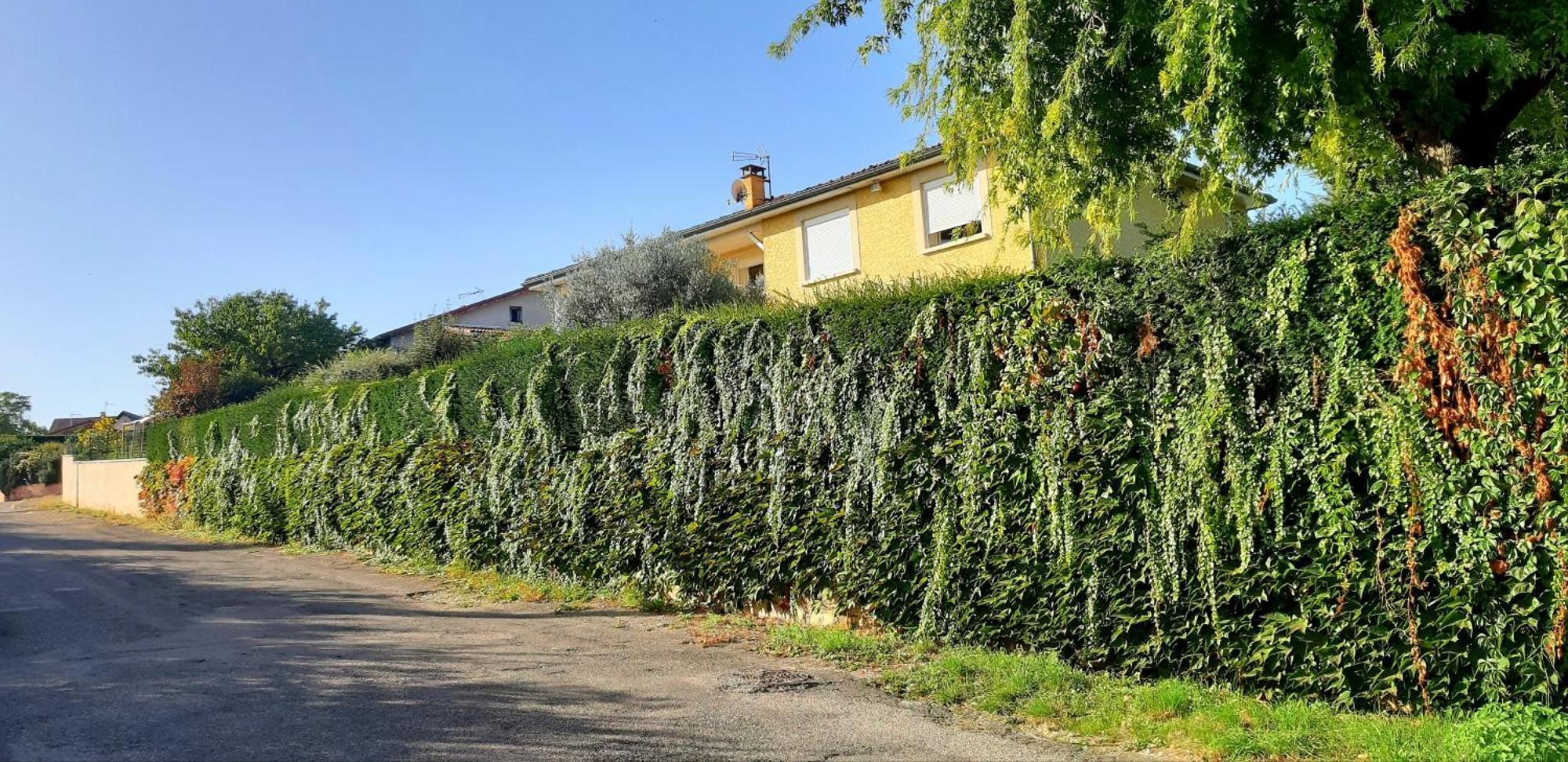 Ma maison fleurie proche aéroport, Eurexpo Janneyrias Exterior foto