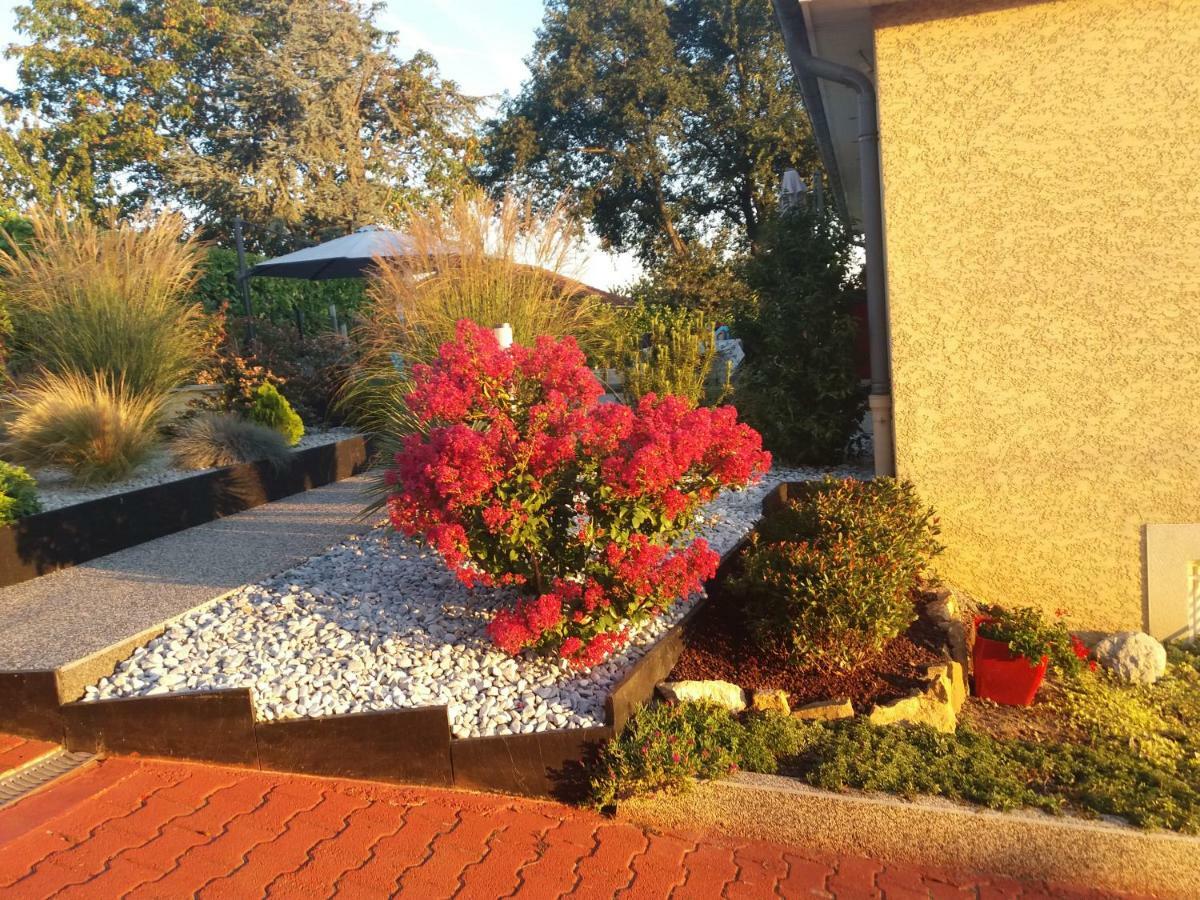 Ma maison fleurie proche aéroport, Eurexpo Janneyrias Exterior foto