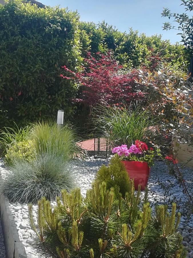 Ma maison fleurie proche aéroport, Eurexpo Janneyrias Exterior foto